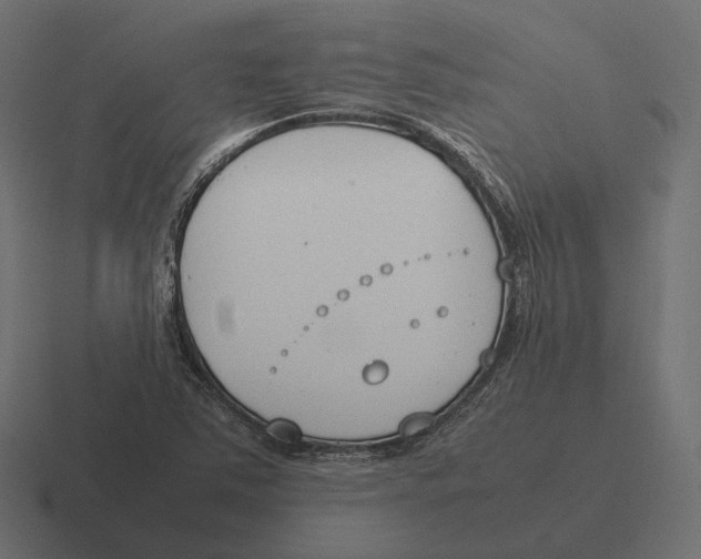 X0000116291363200912291404