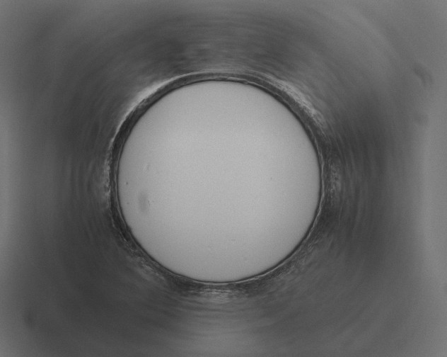 X0000116291364200912291404