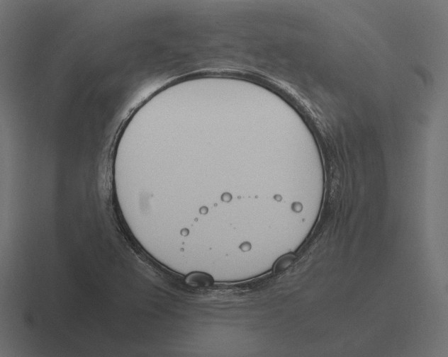 X0000116291367200912291404