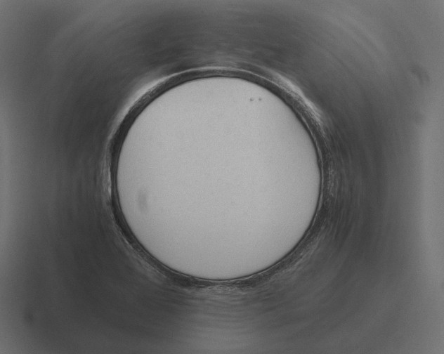 X0000116291368200912291404