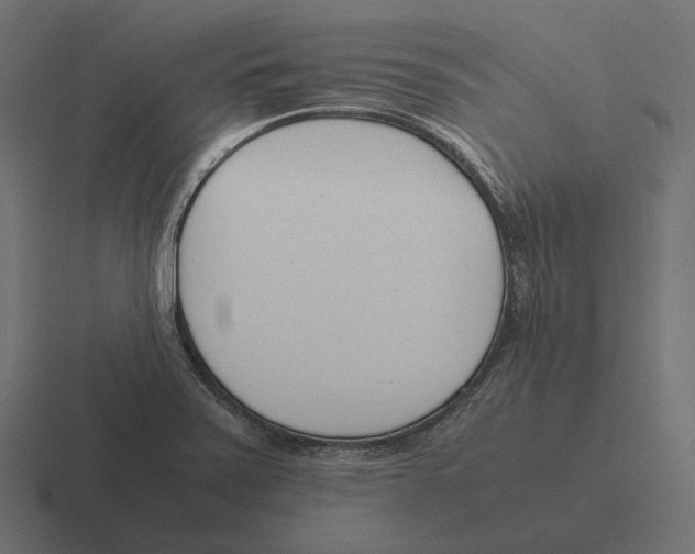 X0000116291371200912291404