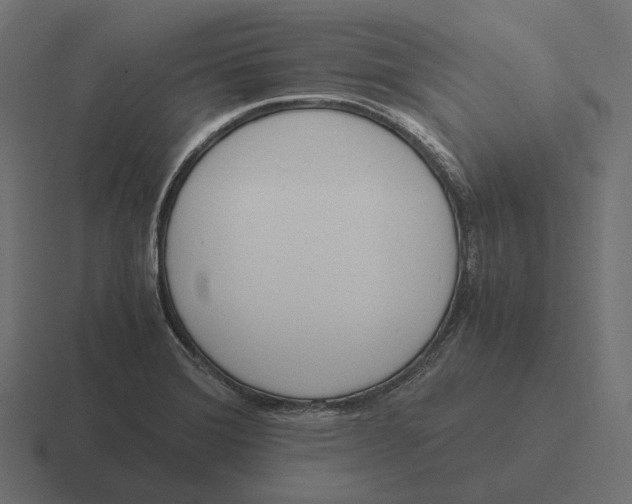 X0000116291372200912291404