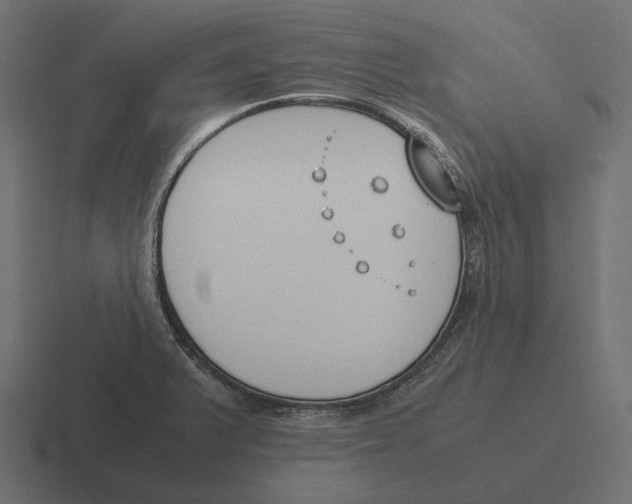 X0000116291375200912291404