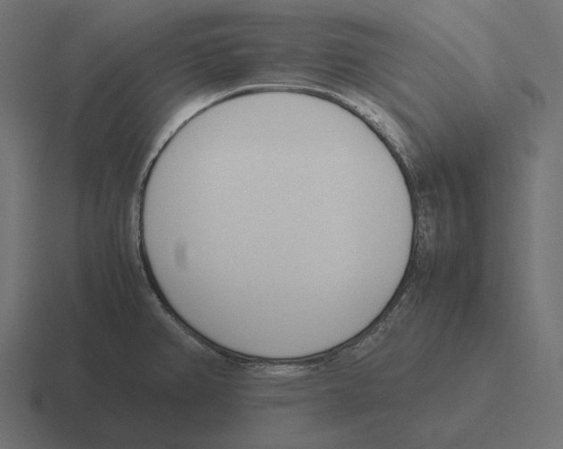 X0000116291382200912291404