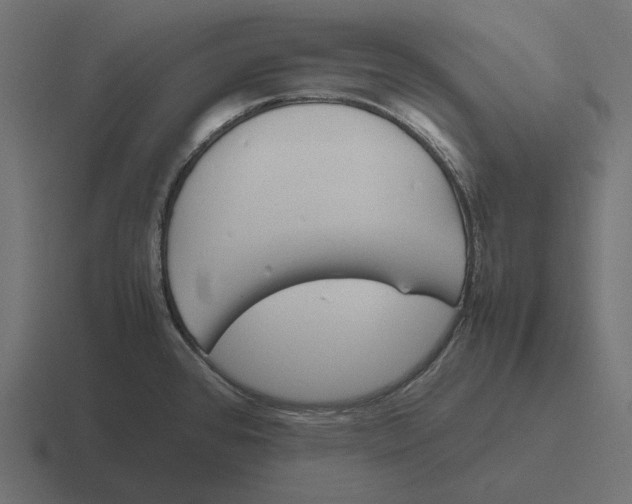 X0000116291384200912291404