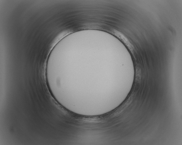 X0000116291386200912291404