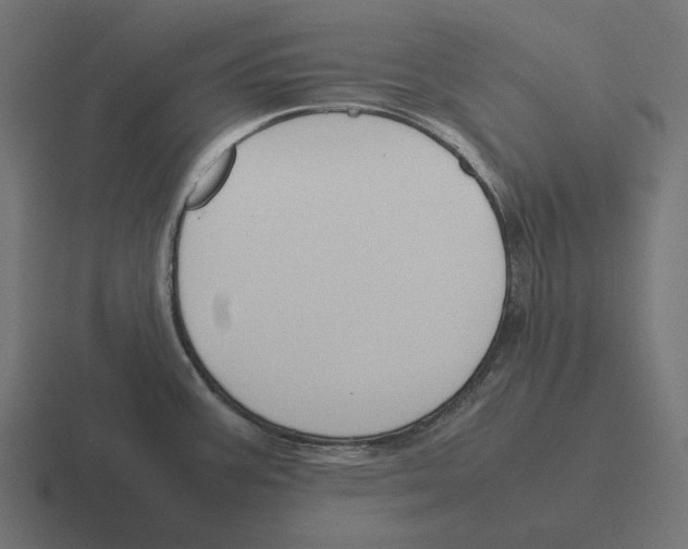 X0000116291387200912291404