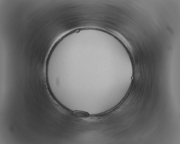 X0000116291388200912291404