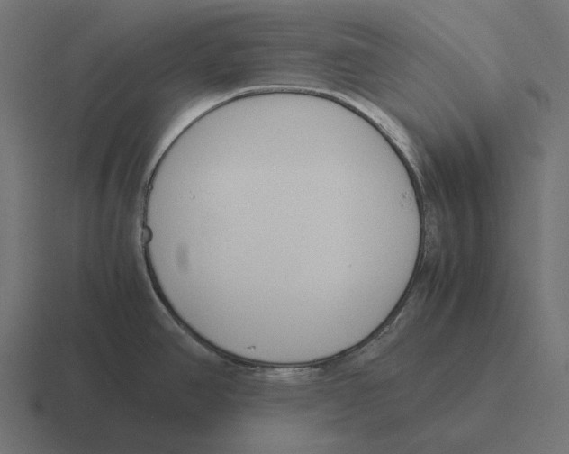 X0000116291390200912291404