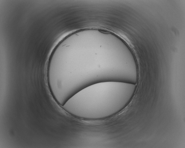 X0000116291392200912291404