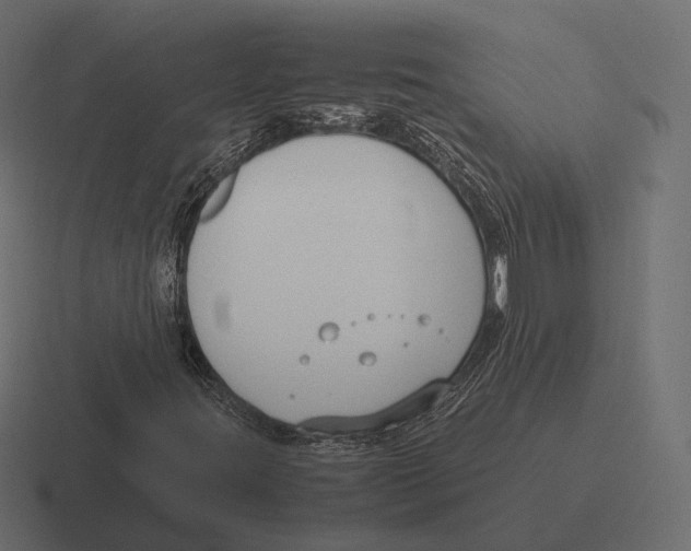 X0000116291395200912291403