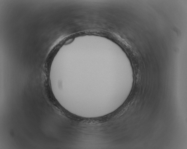 X0000116291400200912291403