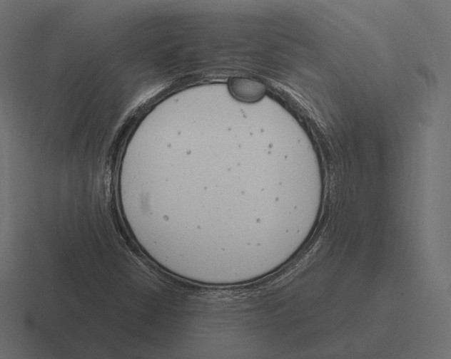 X0000116291402200912291403