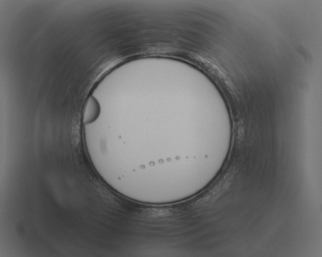 X0000116291409200912291403