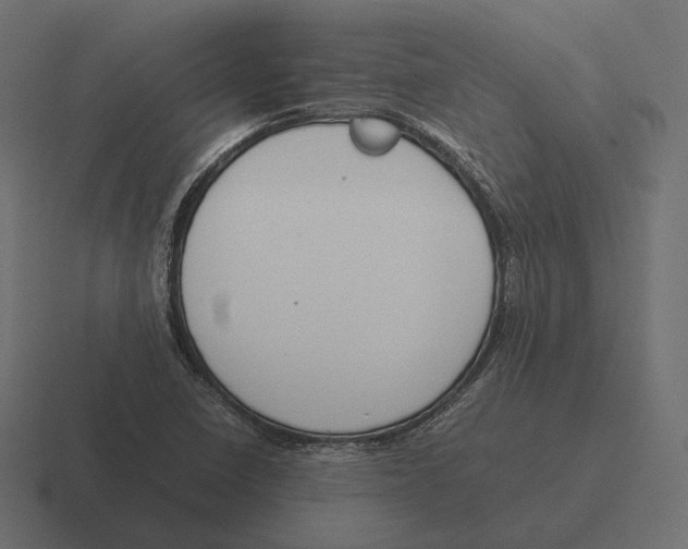 X0000116291410200912291403