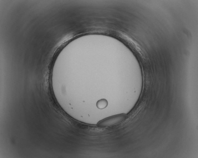 X0000116291411200912291403