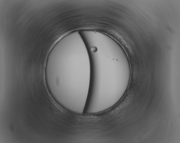 X0000116291417200912291403