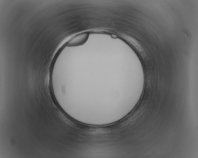 X0000116291420200912291403