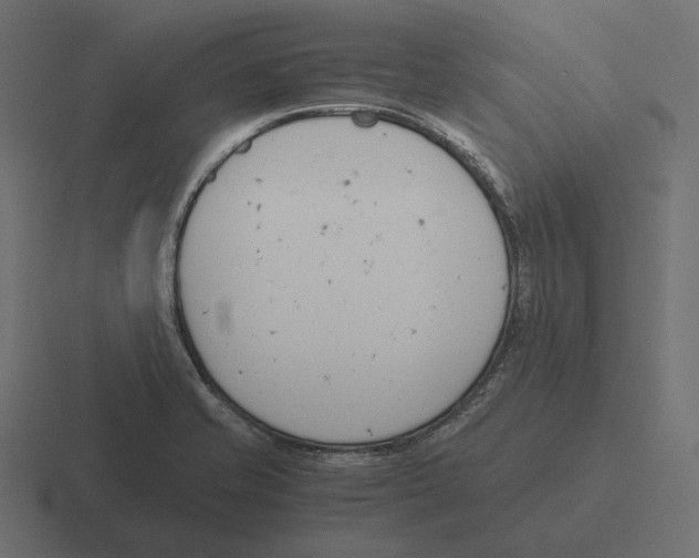 X0000116291421200912291403