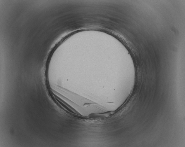 X0000116291422200912291403