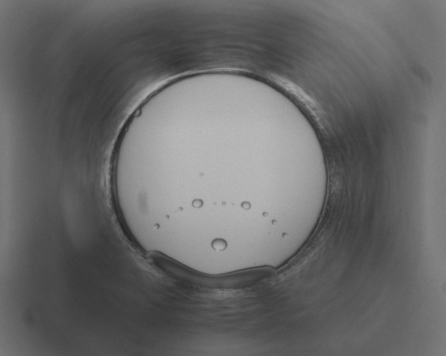 X0000116291423200912291403