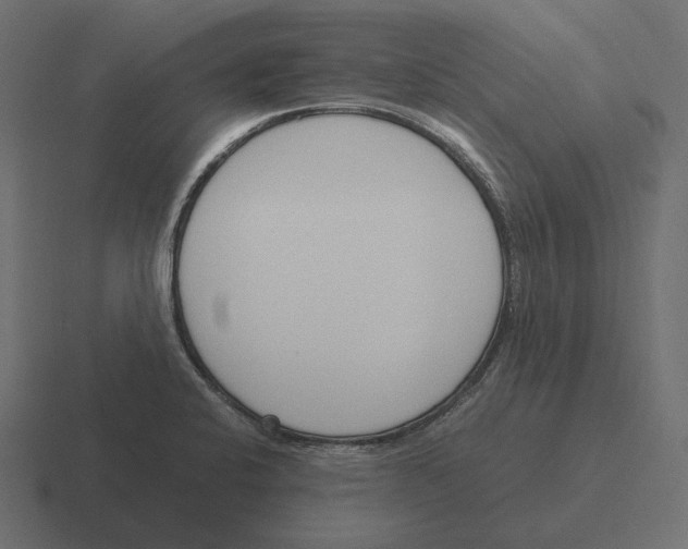 X0000116291424200912291403