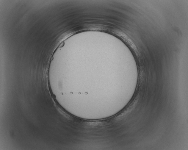 X0000116291425200912291403