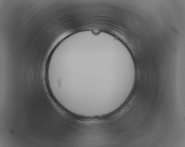 X0000116291426200912291403