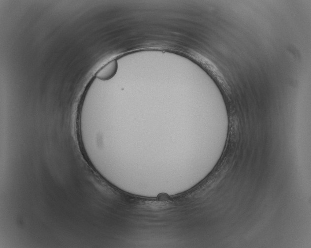 X0000116291427200912291403