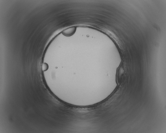 X0000116291428200912291403