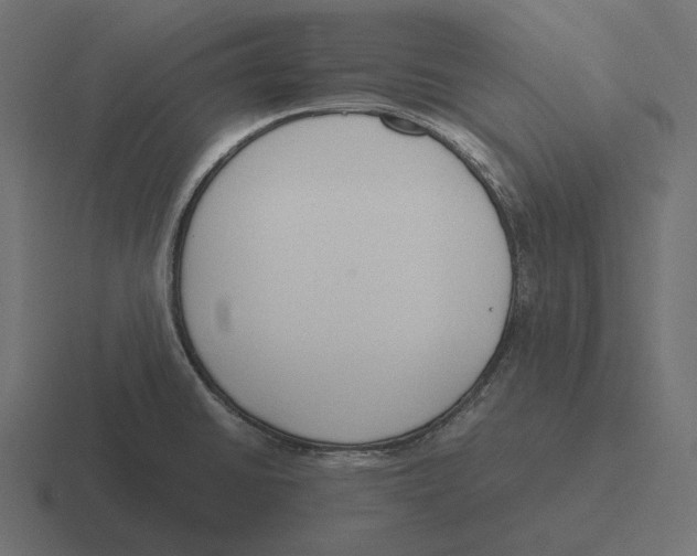 X0000116291430200912291403