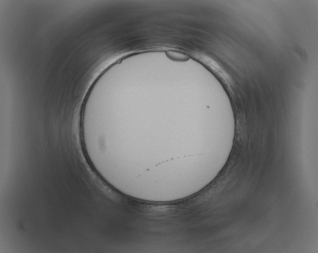 X0000116291431200912291404