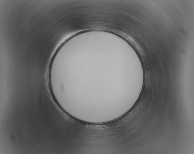 X0000116291432200912291404