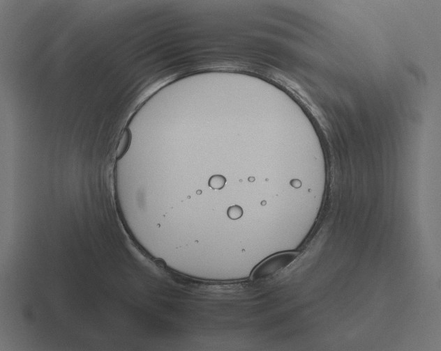 X0000116291433200912291404