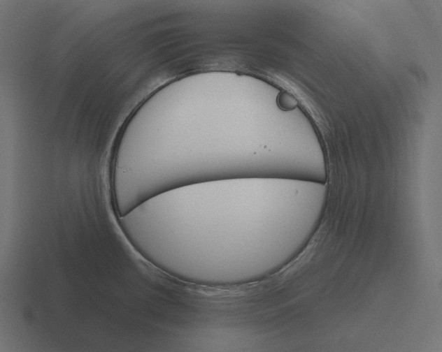 X0000116291434200912291404