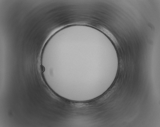 X0000116291436200912291404