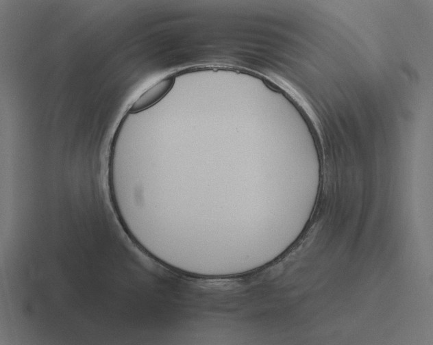 X0000116291437200912291404