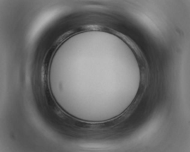 X0000116291438200912291404