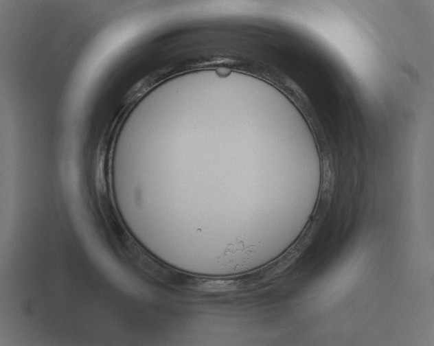 X0000116291439200912291404