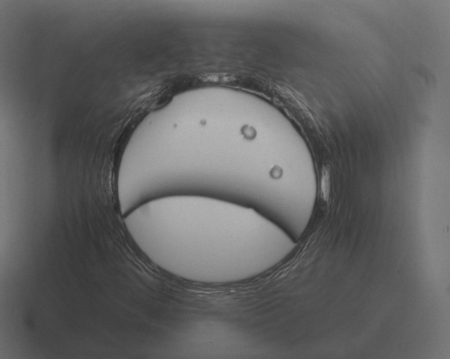 X0000116291444200912291403