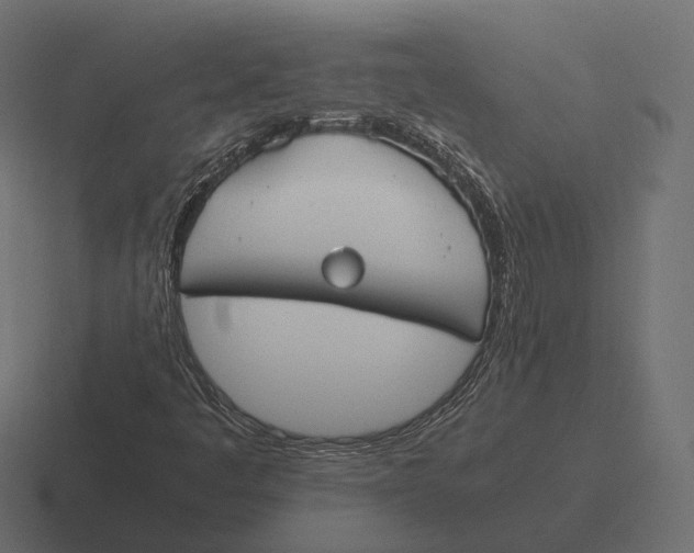 X0000116291445200912291403