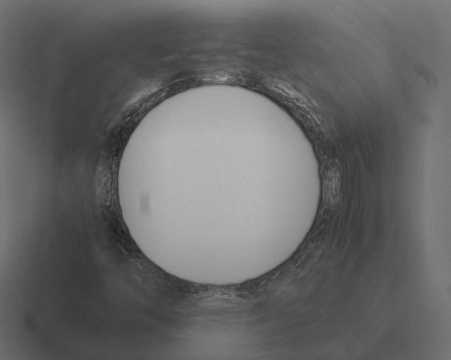 X0000116291446200912291403