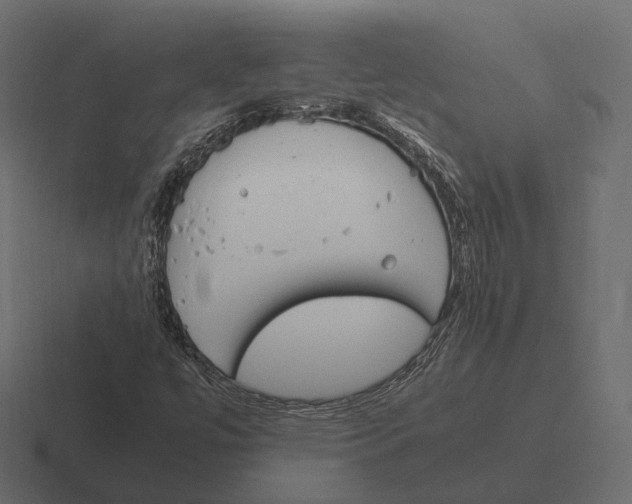 X0000116291447200912291403