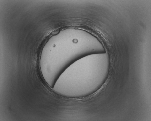 X0000116291449200912291403