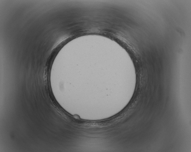 X0000116291450200912291403