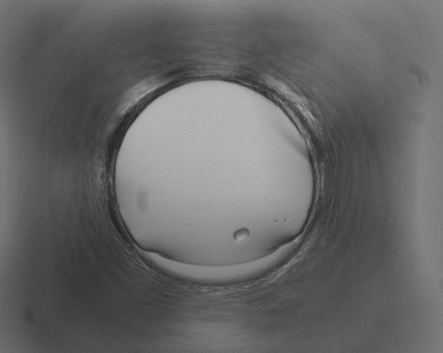 X0000116291453200912291403