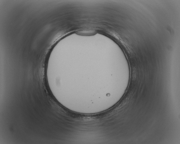 X0000116291459200912291403