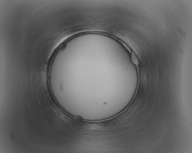 X0000116291460200912291403