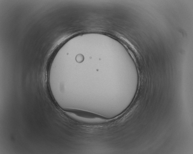 X0000116291461200912291403