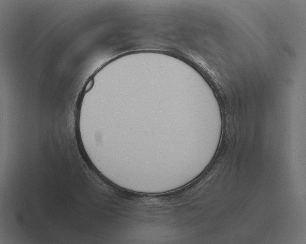 X0000116291463200912291403